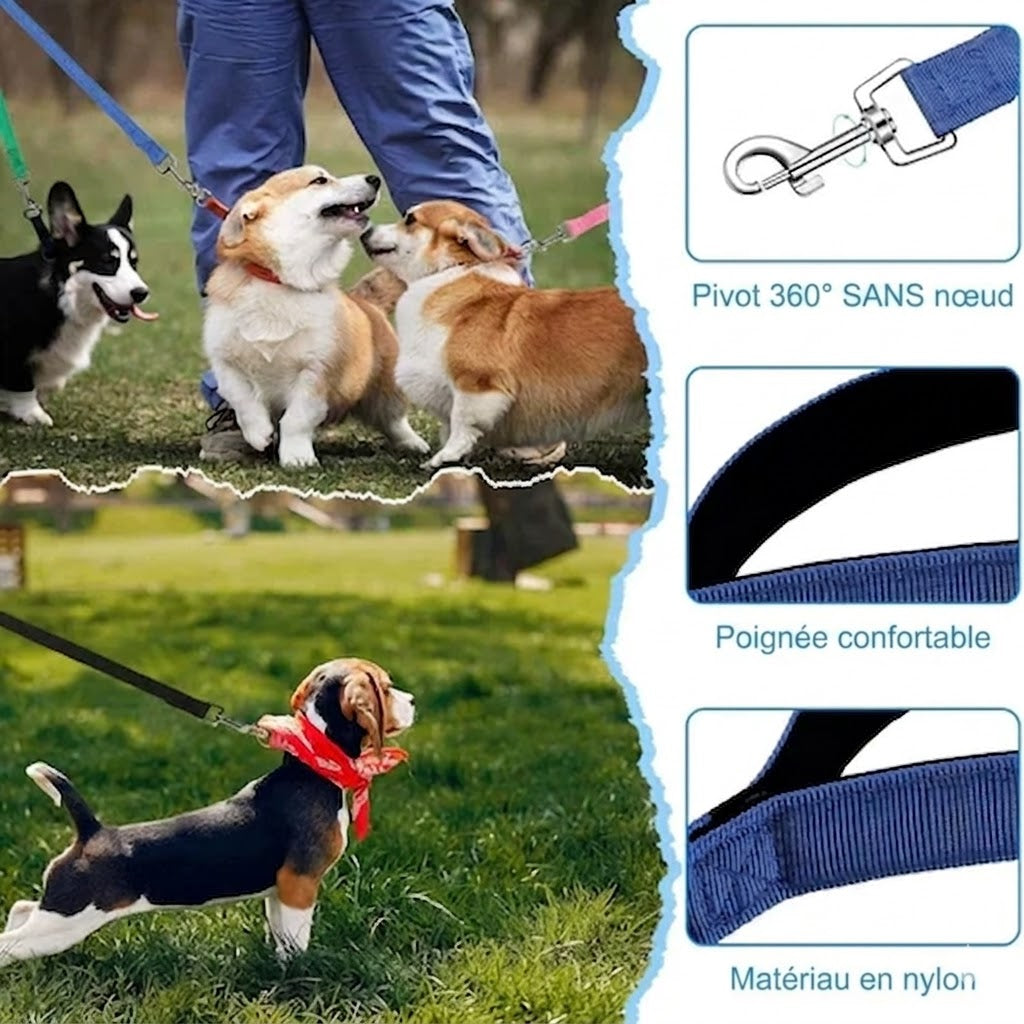 Laisse Longue d'Entraînement pour Chien – Pour les grands espaces
