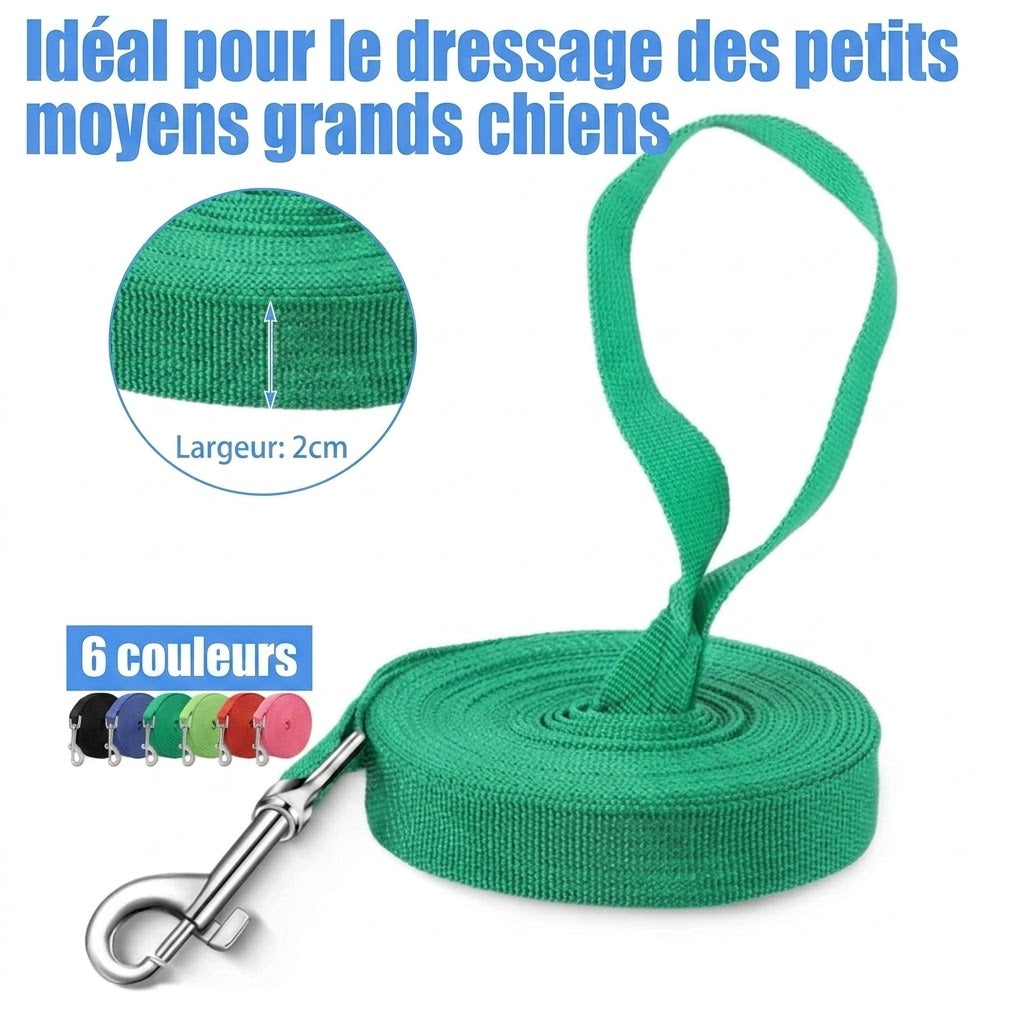 Laisse Longue d'Entraînement pour Chien – Pour les grands espaces