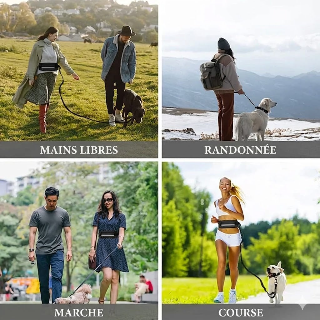 Laisse Mains Libres pour Chien – Idéale pour le Canicross et le Running