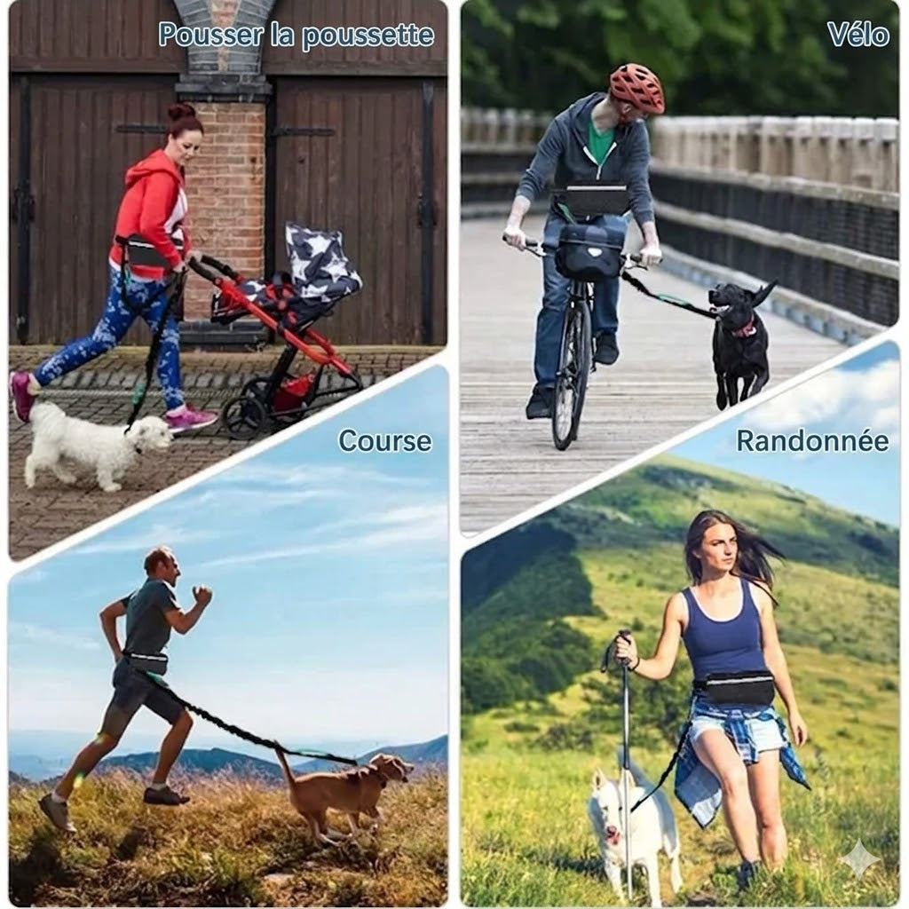 Laisse Mains Libres pour Chien – Idéale pour le Canicross et le Running