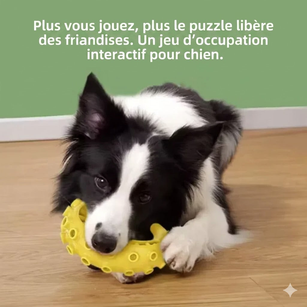 Jouet à Mâcher pour Chiot et Chien – Parfait pour les petites dents