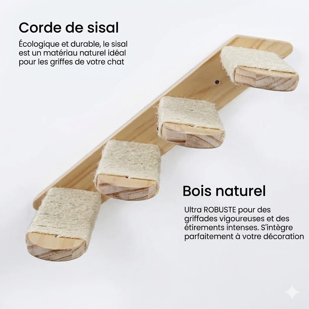 Parcours Mural pour Chat – Son terrain de jeu vertical