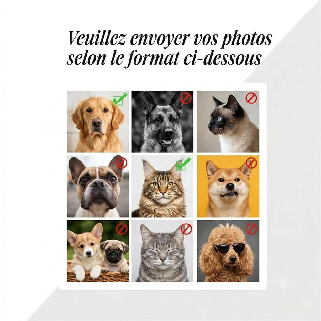 Portrait Royal Personnalisé de votre Animal d'après Photo