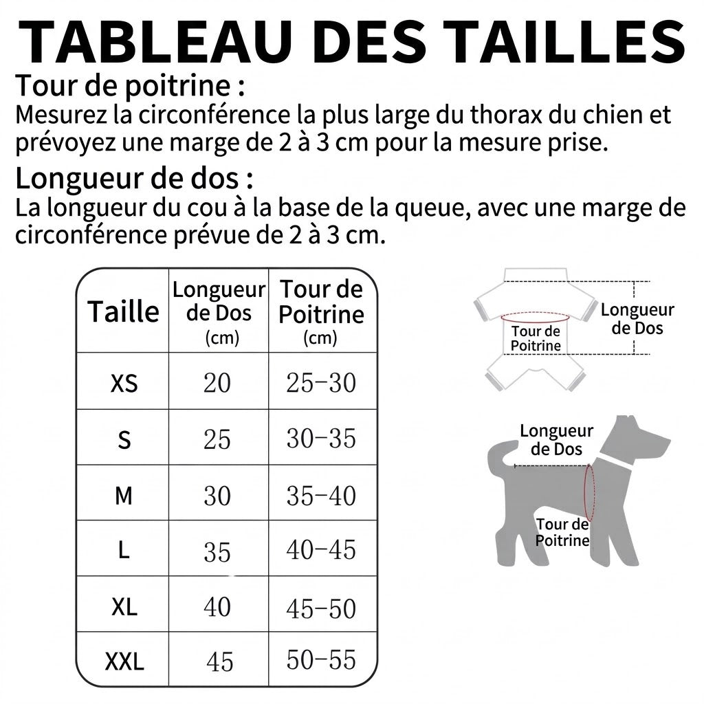 Tenue de Noël pour petits et moyens chiens – Douceur festive