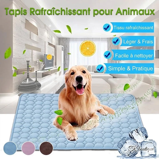 Tapis Mesh Rafraîchissant pour Chien et Chat – Bye bye la chaleur !