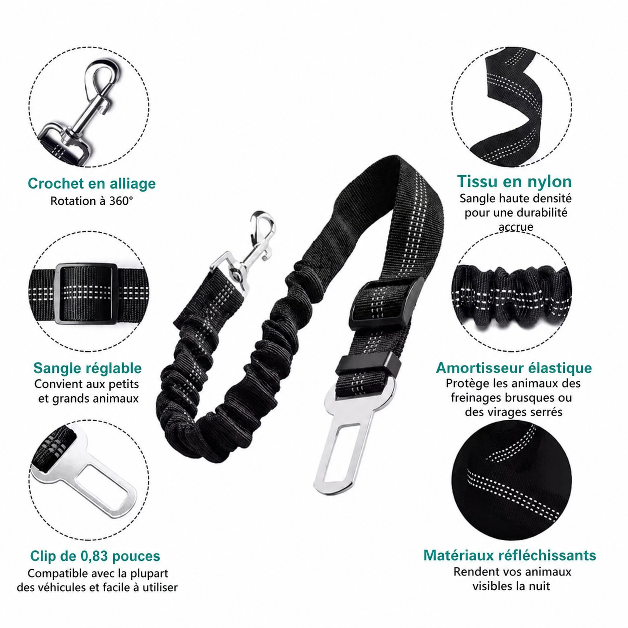Ceinture de Sécurité pour Chien – En voiture, il est protégé